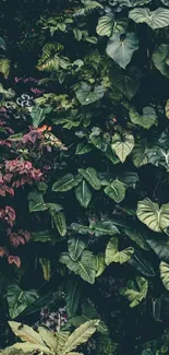 Lush tropical leaves creating a vibrant, natural mobile wallpaper.