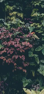 Lush tropical plant wallpaper with vibrant green leaves.