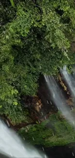 Vibrant green forest with cascading waterfall.