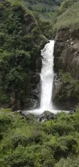 Lush waterfall cascading through a green forest.