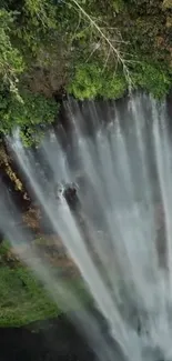 Lush waterfall cascading amidst vibrant green foliage.