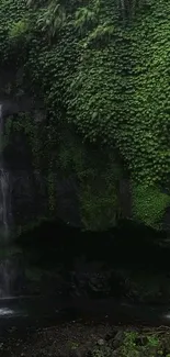 Lush green waterfall cascading over dark rocks amidst dense foliage.