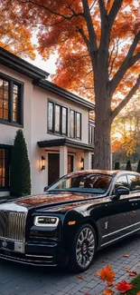 Black luxury car parked in an autumn driveway with vibrant trees.