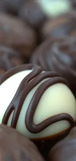 Close-up of assorted chocolate truffles with intricate designs.