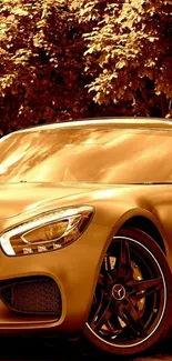 Luxurious golden car with lush autumn background.