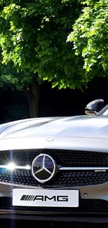 Front view of a luxurious AMG car with lush green backdrop.