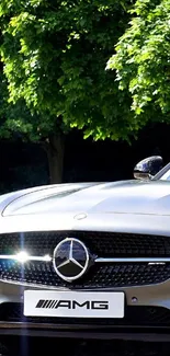 Sleek Mercedes AMG car with vibrant green trees in the background.