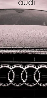 Front view of Audi car with iconic grill under a dramatic gray sky.