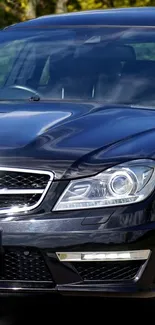 Close-up of a sleek black luxury car with shiny details.