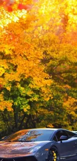 Luxury car parked under vibrant autumn leaves.