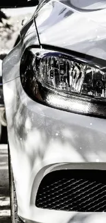 Closeup of a sleek, white luxury car in a nature setting.