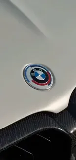 Closeup of BMW car emblem on carbon fiber background.