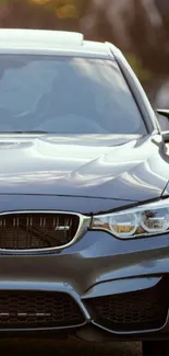 Luxury car front view in golden light.