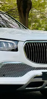 Close-up of luxury car front design with focus on grille and headlights.