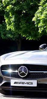 Sleek luxury car front view with green trees in background.