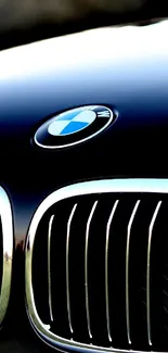 Close-up of a luxury car grille with sleek black design.