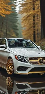 Luxury car with golden wheels in autumn forest reflecting on water.