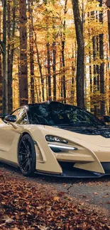 Luxury car in an autumn forest setting, surrounded by vibrant yellow leaves.