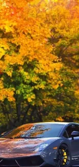 Luxury car under vibrant autumn leaves.