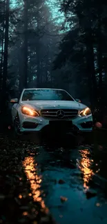 Luxury car on misty night drive in forest, reflecting on wet road.