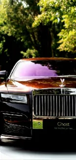 Luxurious car against a green scenic backdrop.