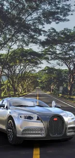 Luxury car on a scenic nature road with lush trees.