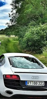 Luxury car roadside with lush greenery and a vibrant blue sky.