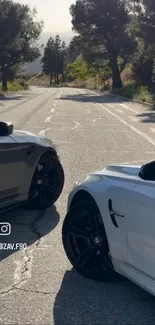 Luxury cars on a scenic, tree-lined road