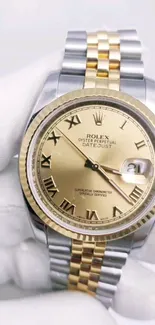 Luxury gold Rolex watch with two-tone bracelet.