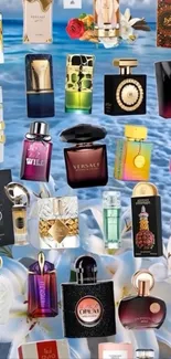 Collection of luxury perfumes with blue background.