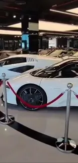 Showroom with luxury sports cars on display.