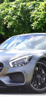 Sleek black Mercedes sports car parked in sunlight with lush trees in the background.