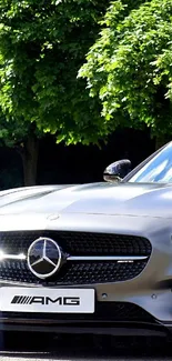 Luxury sports car with lush green backdrop.