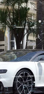 Black and white luxury sports car parked stylishly with palm trees.