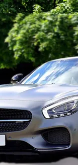 Silver luxury sports car with green background.