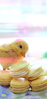 Cute bird and yellow macarons on a plate.