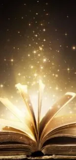 Open book with golden stars rising into a dark night sky.