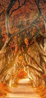 Enchanting autumn forest path with twisted trees and vibrant orange leaves.