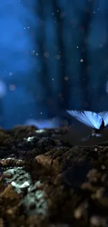 Blue butterflies in a mystical night forest setting.