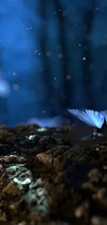 Blue butterflies in a mystical dark forest scene.