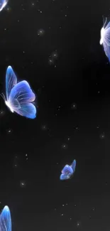 Elegant blue butterflies on a dark starry background.