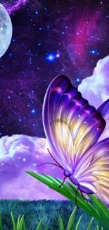 Butterflies under a starry night sky with a full moon and vibrant purple hues.