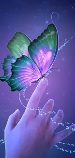 Fantasy wallpaper with butterfly and hand.