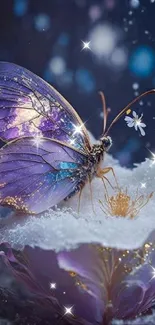 Magical butterfly on a frosty flower under a starry sky.