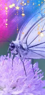 Dreamy butterfly with stars on purple flower background.