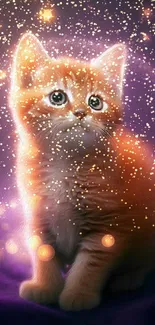 Enchanted glowing kitten with stars and purple background.