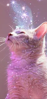 A magical cat with sparkling aura looking upwards.