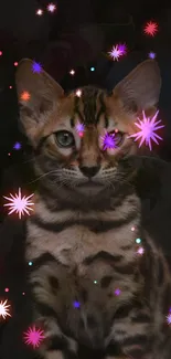 Mystical kitten with sparkles, dark theme mobile wallpaper.