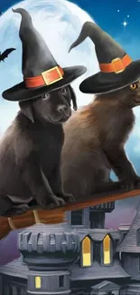 Cat and dog wearing witch hats on a broomstick under a full moon.