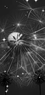 Black and white dandelion with starry night background wallpaper.